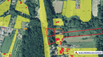 teren-intravilan-8000-mp-parcul-dendrologic-mihaesti-arges-ideal-pentru-constructii-9