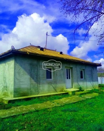 casa-cu-4-camere-in-sat-cotu-com-copalau-teren-1617-mp
