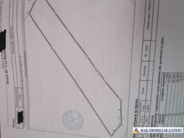 teren-extravilan-1-ha-nucsoara-arges-ideal-pentru-agricultura