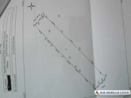 teren-extravilan-1-ha-nucsoara-arges-ideal-pentru-agricultura-1