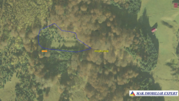 teren-extravilan-5000-mp-de-vanzare-in-poduri-rucar-arges-oportunitate-pentru-activitati-agricole-sau-investitii