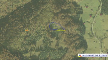 teren-extravilan-5000-mp-de-vanzare-in-poduri-rucar-arges-oportunitate-pentru-activitati-agricole-sau-investitii-1
