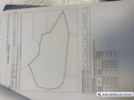 teren-extravilan-5000-mp-de-vanzare-in-poduri-rucar-arges-oportunitate-pentru-activitati-agricole-sau-investitii-4