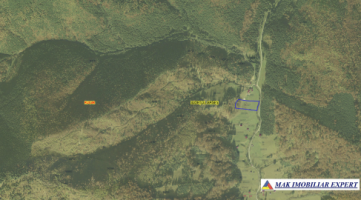 teren-6835-mp-extravilan-de-vanzare-in-rausor-rucar-arges-ideal-pentru-activitati-agricoturistice-1