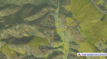 teren-6835-mp-extravilan-de-vanzare-in-rausor-rucar-arges-ideal-pentru-activitati-agricoturistice-2