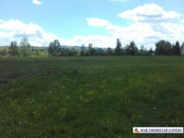 teren-intravilan-1076-mp-de-vanzare-valea-mare-pravat-arges-ideal-pentru-constructie