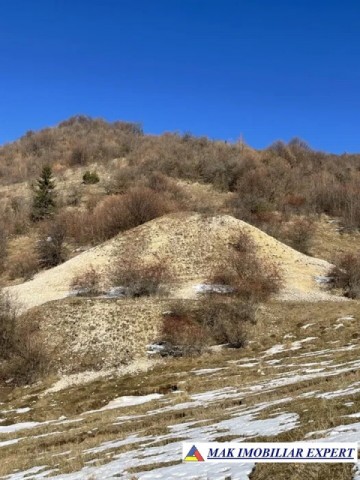 teren-8-ha-cu-cariera-de-calcar-in-piatra-stoenesti-arges-oportunitate-de-investitie-industriala-3