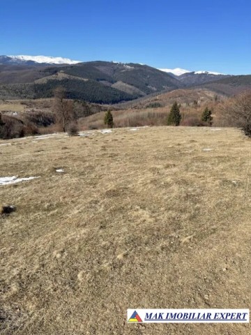 teren-8-ha-cu-cariera-de-calcar-in-piatra-stoenesti-arges-oportunitate-de-investitie-industriala-2