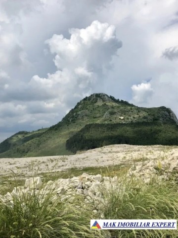 teren-8-ha-cu-cariera-de-calcar-in-piatra-stoenesti-arges-oportunitate-de-investitie-industriala-4