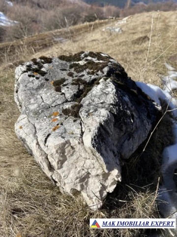 teren-8-ha-cu-cariera-de-calcar-in-piatra-stoenesti-arges-oportunitate-de-investitie-industriala-5