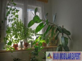 vila-19-camere-teren-4700-mp-de-vanzare-in-bran-moeciu-brasov-3