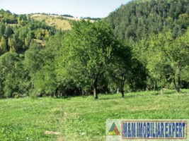 vila-19-camere-teren-4700-mp-de-vanzare-in-bran-moeciu-brasov-13