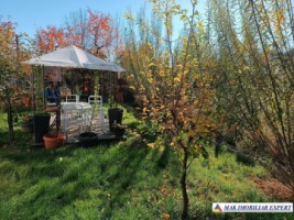 vila-6-camere-teren-1600-mp-corbi-29