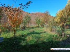 vila-6-camere-teren-1600-mp-corbi-33