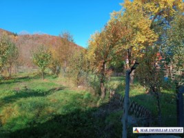 vila-6-camere-teren-1600-mp-corbi-41