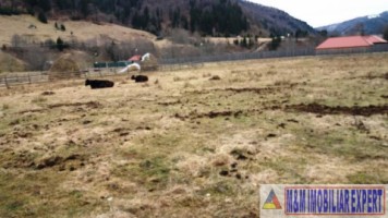 teren-intraextravilan-2000-mp-de-vanzare-rucar-satic-arges