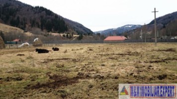 teren-intraextravilan-2000-mp-de-vanzare-rucar-satic-arges-1