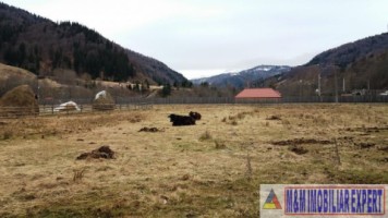 teren-intraextravilan-2000-mp-de-vanzare-rucar-satic-arges-2