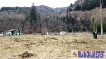 teren-intraextravilan-2000-mp-de-vanzare-rucar-satic-arges-4