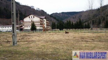 teren-intraextravilan-2000-mp-de-vanzare-rucar-satic-arges-5