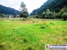 teren-cu-constructii-500-mp-intravilan-de-vanzare-rucar-satic-arges-ideal-pentru-resedinta-de-vacanta-sau-cabana-3