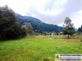 teren-cu-constructii-500-mp-intravilan-de-vanzare-rucar-satic-arges-ideal-pentru-resedinta-de-vacanta-sau-cabana-4