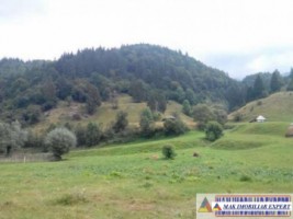 teren-cu-constructii-500-mp-intravilan-de-vanzare-rucar-satic-arges-ideal-pentru-resedinta-de-vacanta-sau-cabana-5