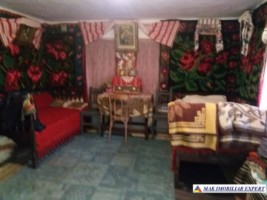 urgent-vand-casa-musceleana-cu-4-camere-si-teren-de-2980-mp-matau-arges-6