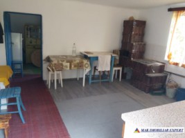 urgent-vand-casa-musceleana-cu-4-camere-si-teren-de-2980-mp-matau-arges-9