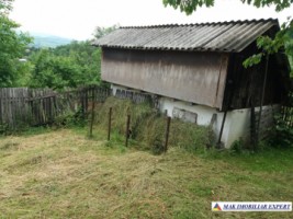 urgent-vand-casa-musceleana-cu-4-camere-si-teren-de-2980-mp-matau-arges-14