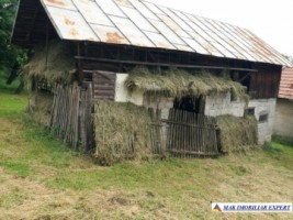 urgent-vand-casa-musceleana-cu-4-camere-si-teren-de-2980-mp-matau-arges-15