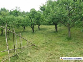 urgent-vand-casa-musceleana-cu-4-camere-si-teren-de-2980-mp-matau-arges-17
