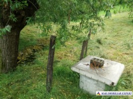 urgent-vand-casa-musceleana-cu-4-camere-si-teren-de-2980-mp-matau-arges-18