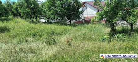 teren-intravilan-4000-mp-in-bughea-de-jos-arges