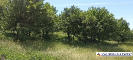 teren-intravilan-4000-mp-in-bughea-de-jos-arges-1