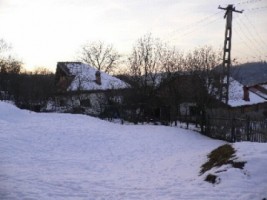 teren-intravilan-4000-mp-in-bughea-de-jos-arges-5
