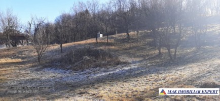 teren-intravilan-4000-mp-in-bughea-de-jos-arges-12