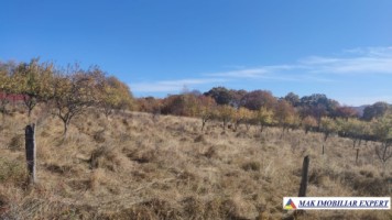 teren-intravilan-3700-mp-in-campulung-oportunitate-unica-pentru-dezvoltare-1