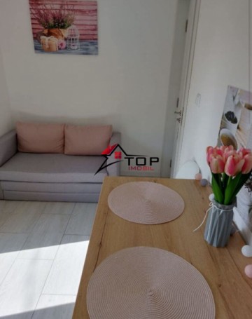 apartament-1-camera-decomandat-lunca-cetatuii-cartierul-editurii-3