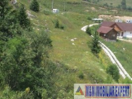 camping-4-camere-teren-110-ha-de-vanzare-in-rucar-podul-dambovitei-arges-6