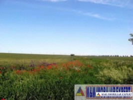 loturi-teren-745-mp-intravilan-de-vanzare-in-tartasesti-ciocanesti-dambovita-1