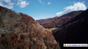 teren-de-5640-mp-intra-extravilan-in-dambovicioara-arges-ideal-pentru-dezvoltari-turistice-si-rezidentiale-5