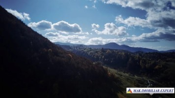 teren-de-5640-mp-intra-extravilan-in-dambovicioara-arges-ideal-pentru-dezvoltari-turistice-si-rezidentiale-6