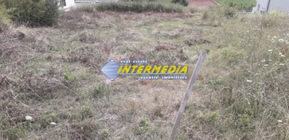 vanzare-teren-intravilan-708-mp-zona-piata-cetate-3