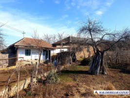 casa-cu-5-camere-si-teren-de-1868-mp-in-harsesti-arges-oportunitate-perfecta-pentru-familie-4
