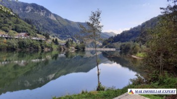 de-vanzare-teren-594-ha-intra-extravilan-rucar-satic-arges