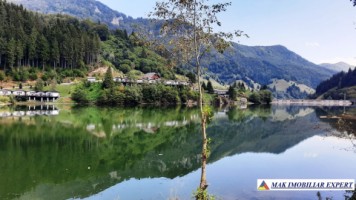 de-vanzare-teren-594-ha-intra-extravilan-rucar-satic-arges-1