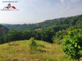 oferta-casa-de-vanzare-cu-5-hectare-teren-alba-iulia-inuri-5