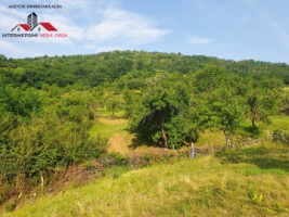 oferta-casa-de-vanzare-cu-5-hectare-teren-alba-iulia-inuri-6