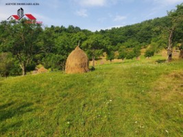 oferta-casa-de-vanzare-cu-5-hectare-teren-alba-iulia-inuri-7